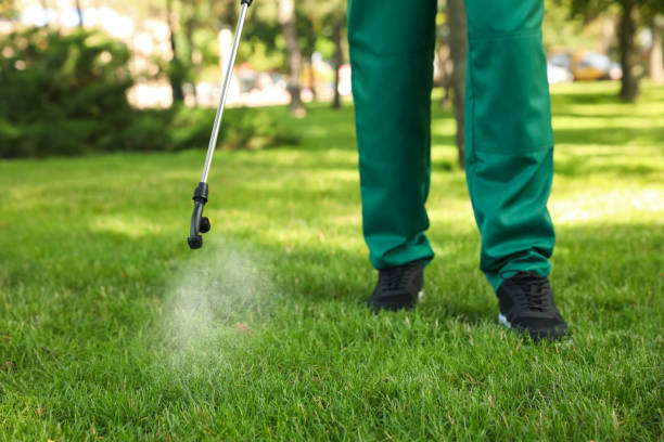 Best Outdoor Pest Control  in Viroqua, WI